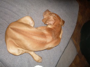above: Imogen at 9.5 weeks